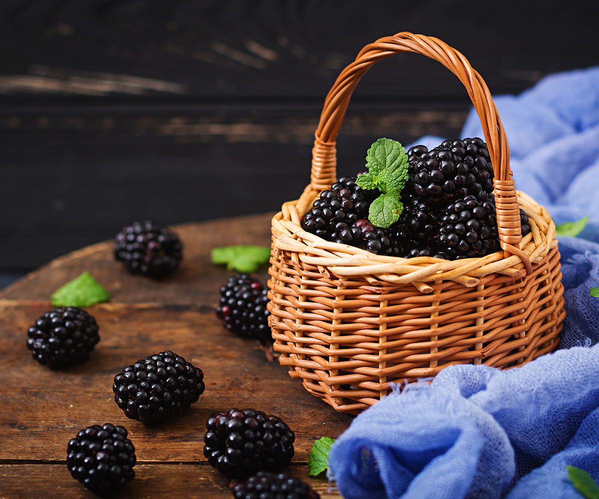 Dondurulmus Böğürtlen