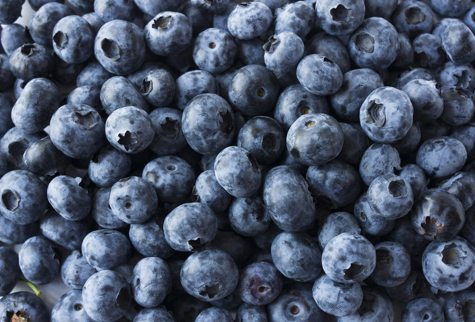 Dondurulmuş Yaban Mersini